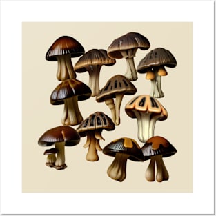 (LBM's) Little Brown Mushrooms Posters and Art